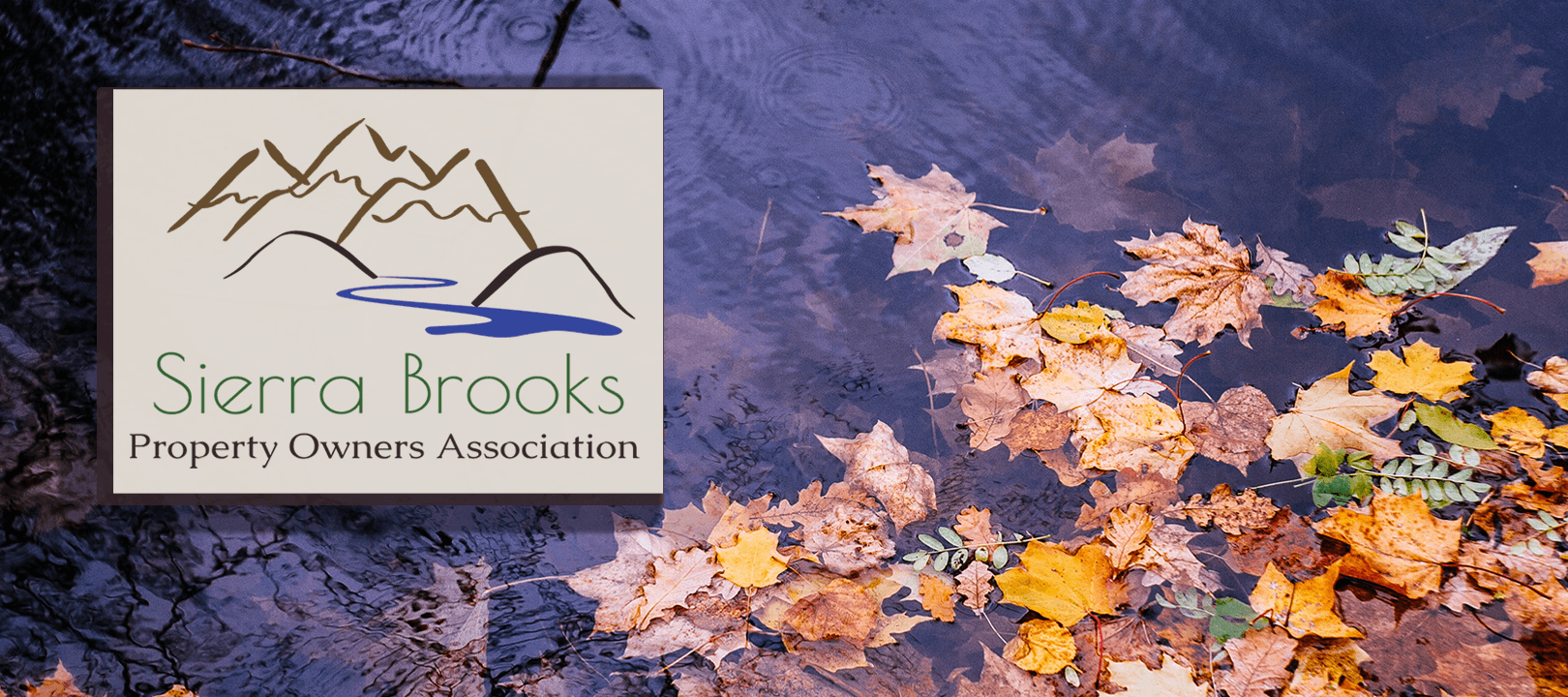 logo with autumn leaves floating in water